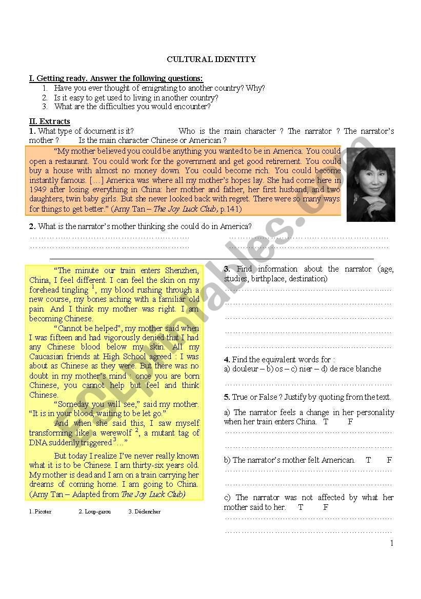 Cultural Identity worksheet