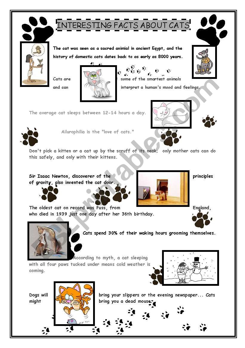 Interesting facts about cats worksheet