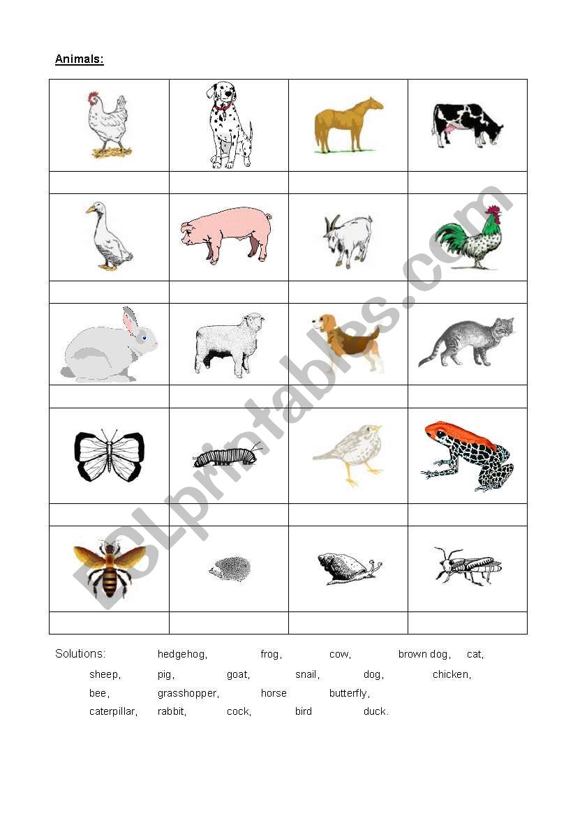 Animals 1 worksheet