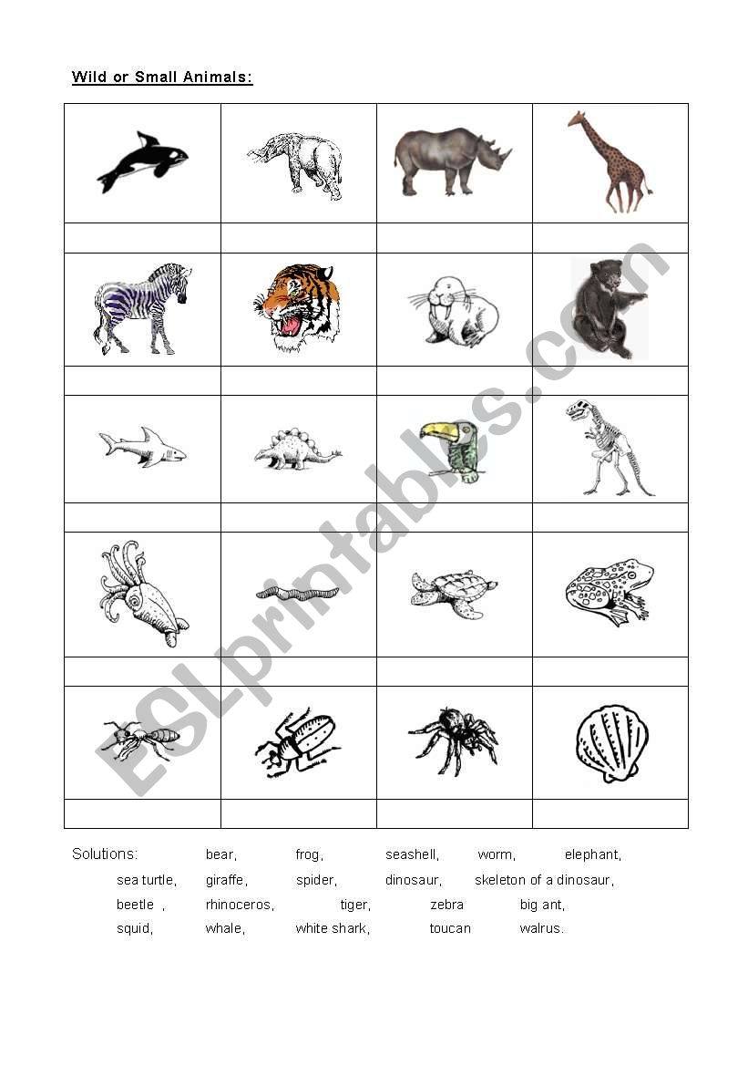 Animals 2 worksheet