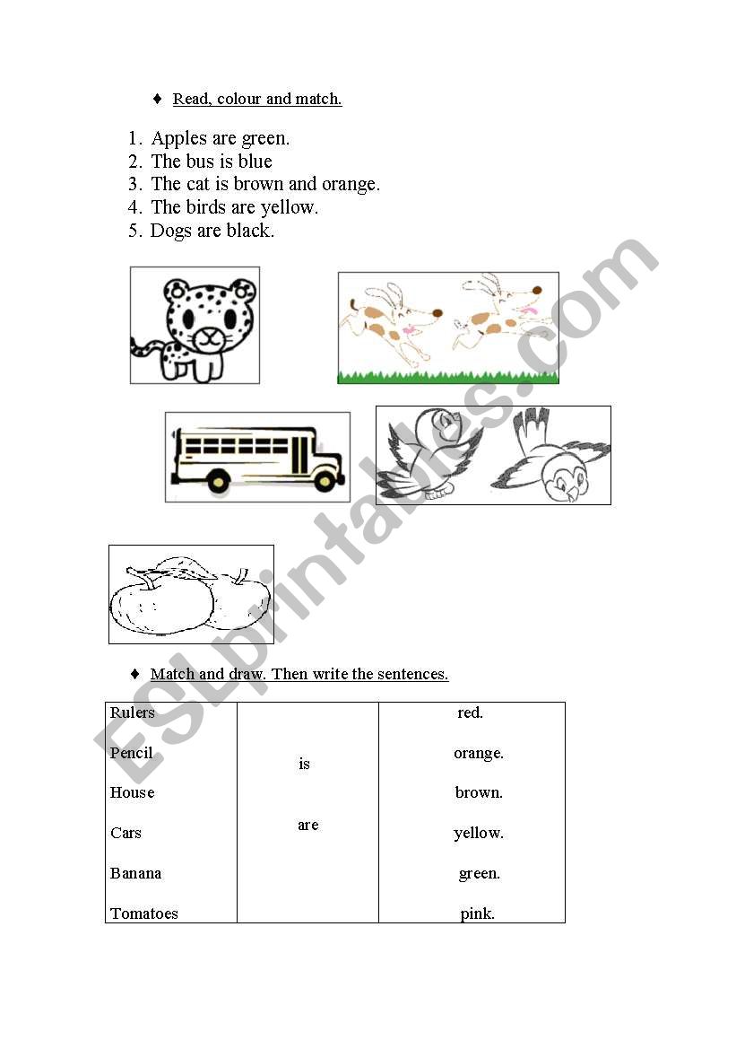 Colours  worksheet