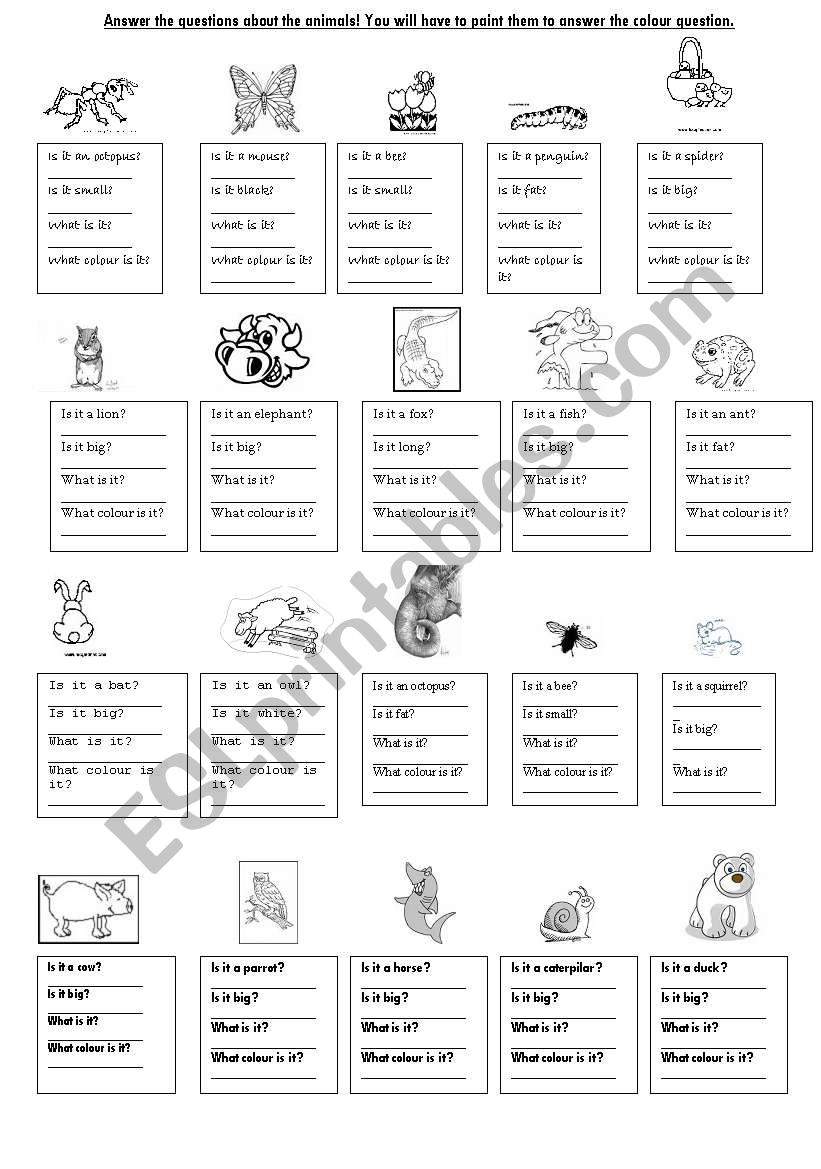 Questions about animals worksheet