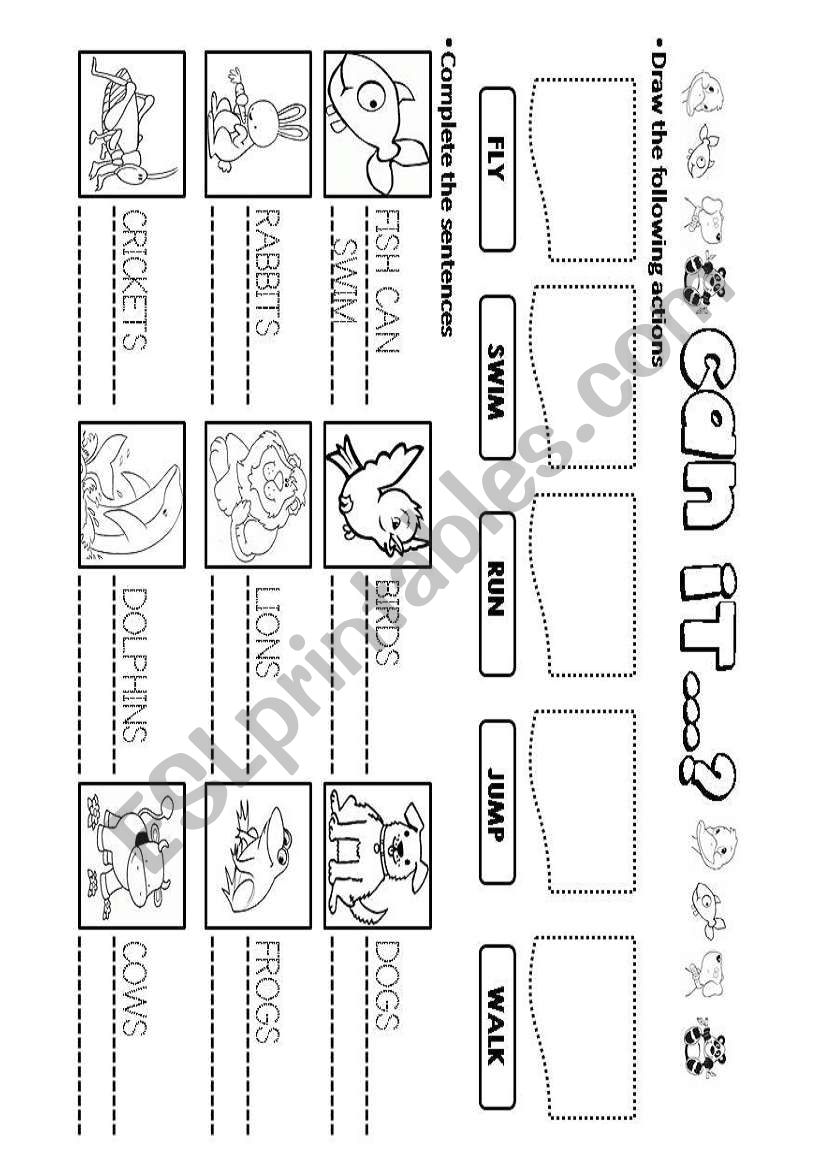 WHAT CAN IT DO? worksheet