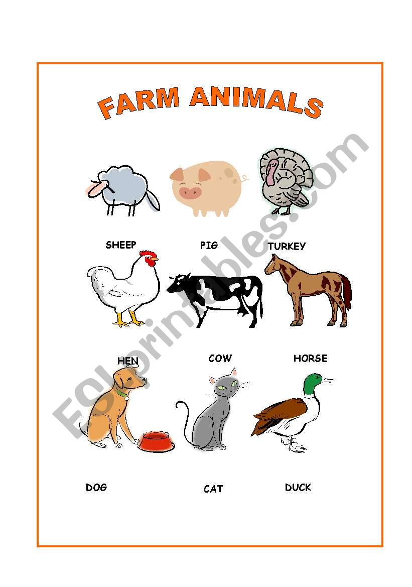 Farm animals worksheet