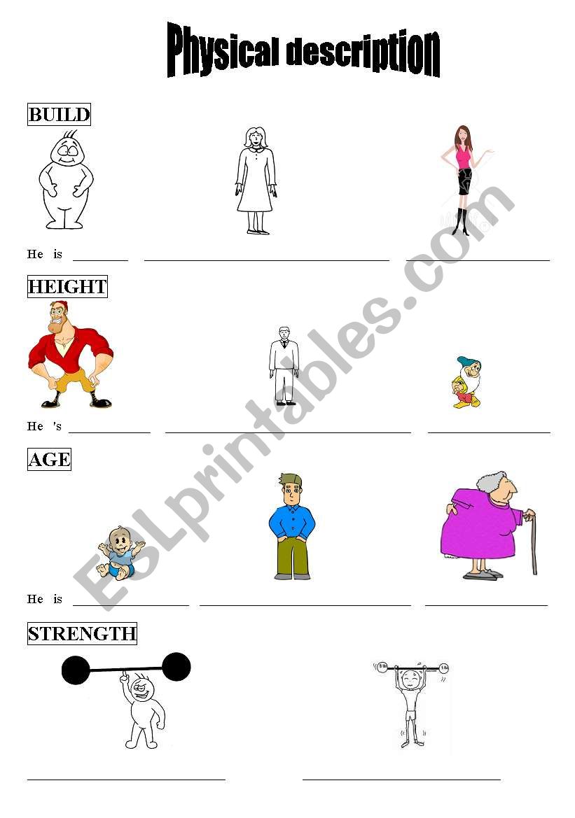 physical description worksheet