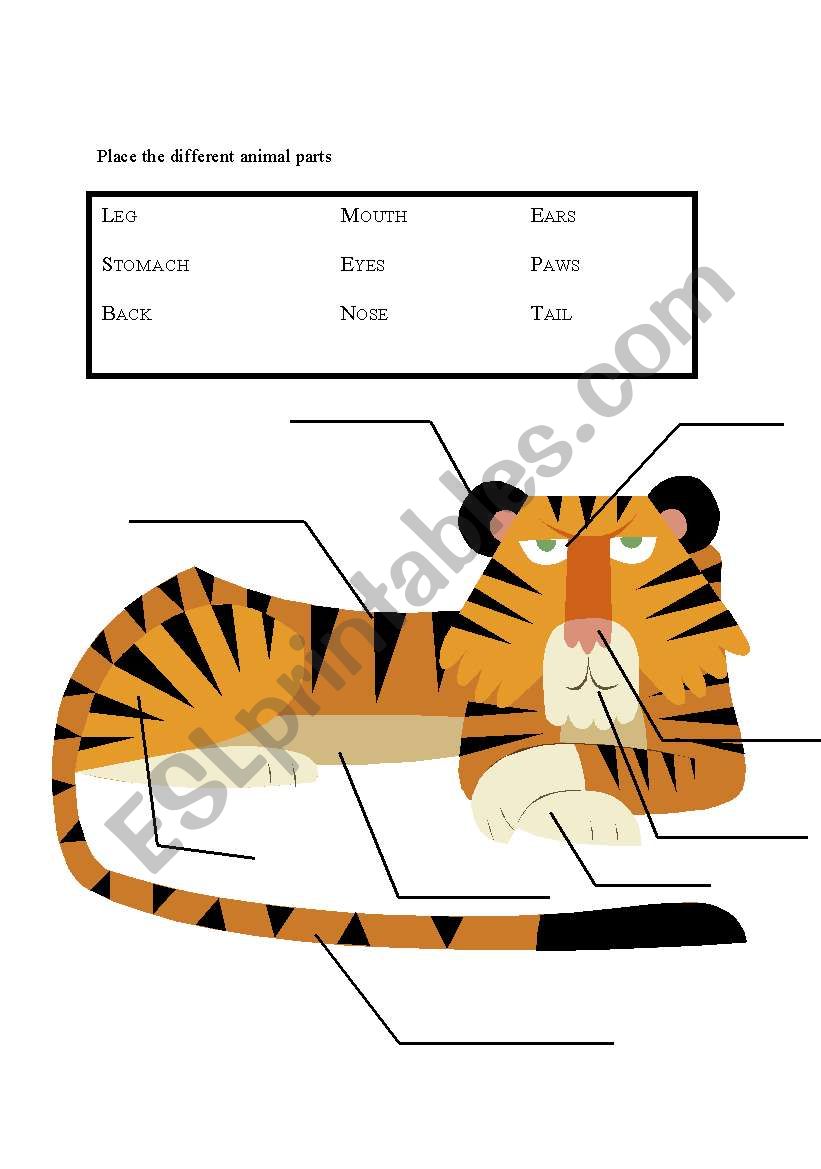 Tiger Parts worksheet