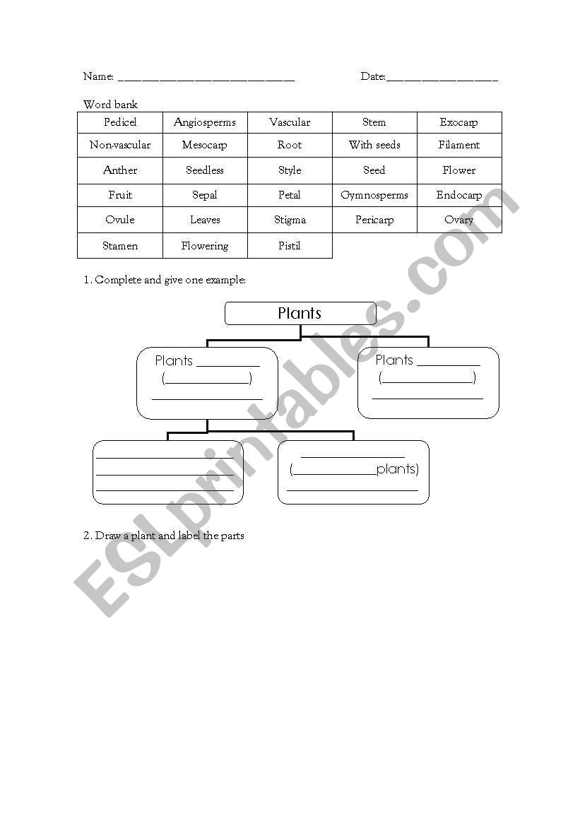 plant test worksheet