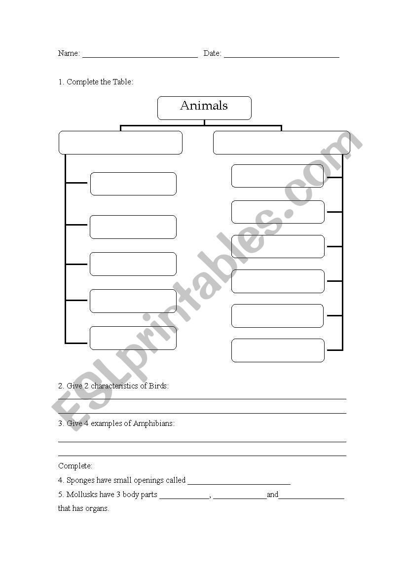 animals test worksheet