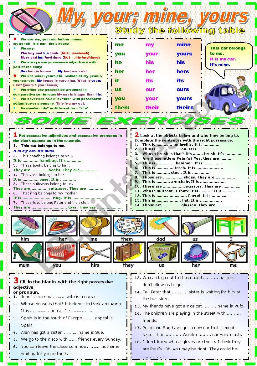 POSSESSIVE ADJECTIVES AND PRONOUNS (B&W VERSION INCLUDED)