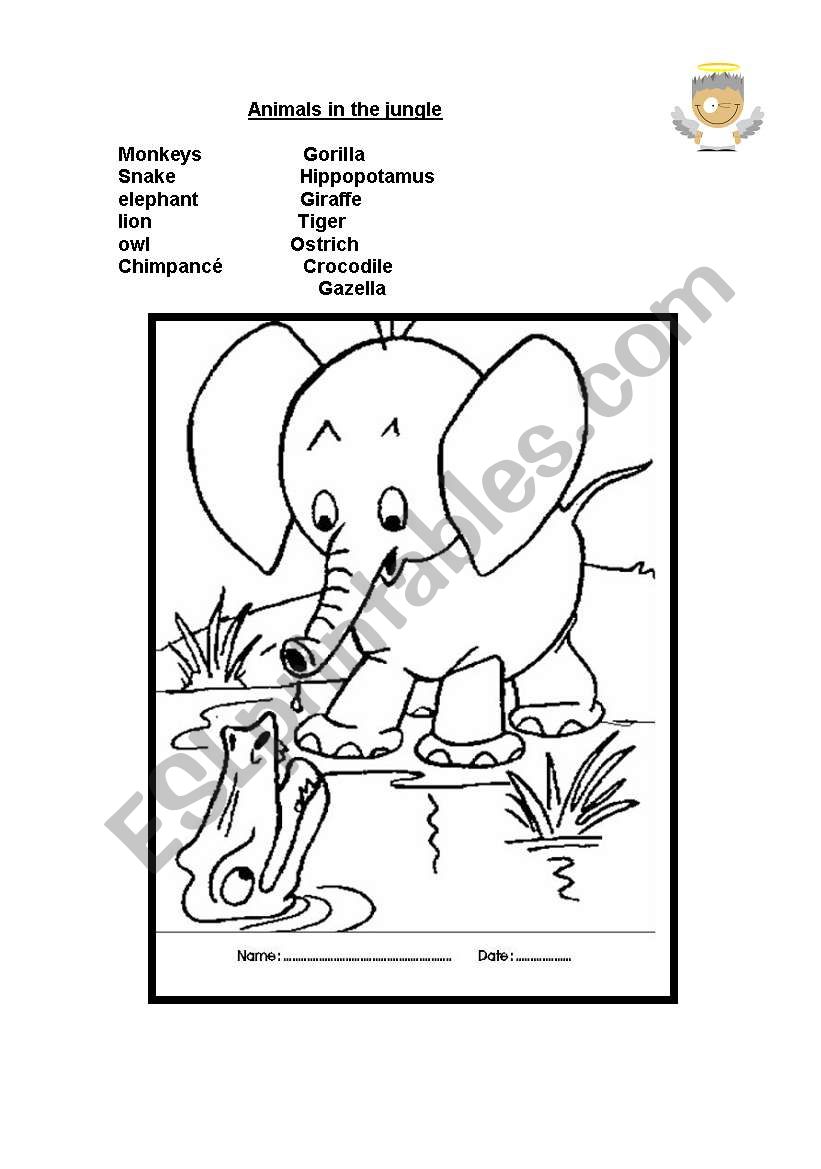 animals in the jungle  worksheet