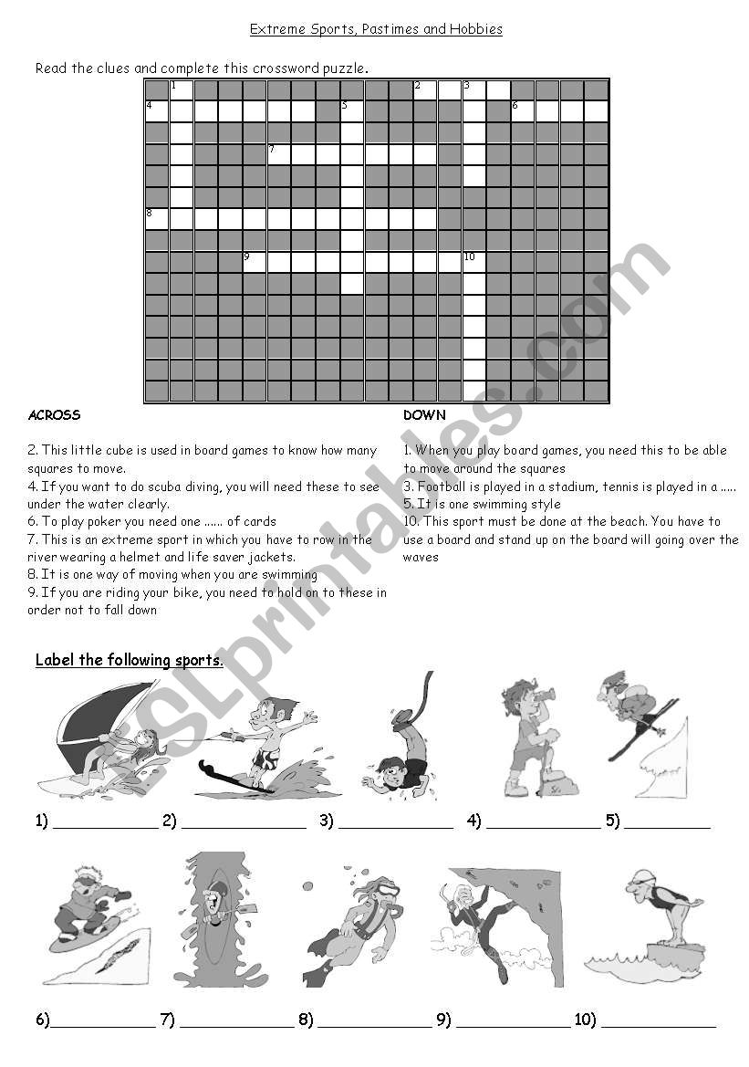 Pastimes and Hobbies worksheet