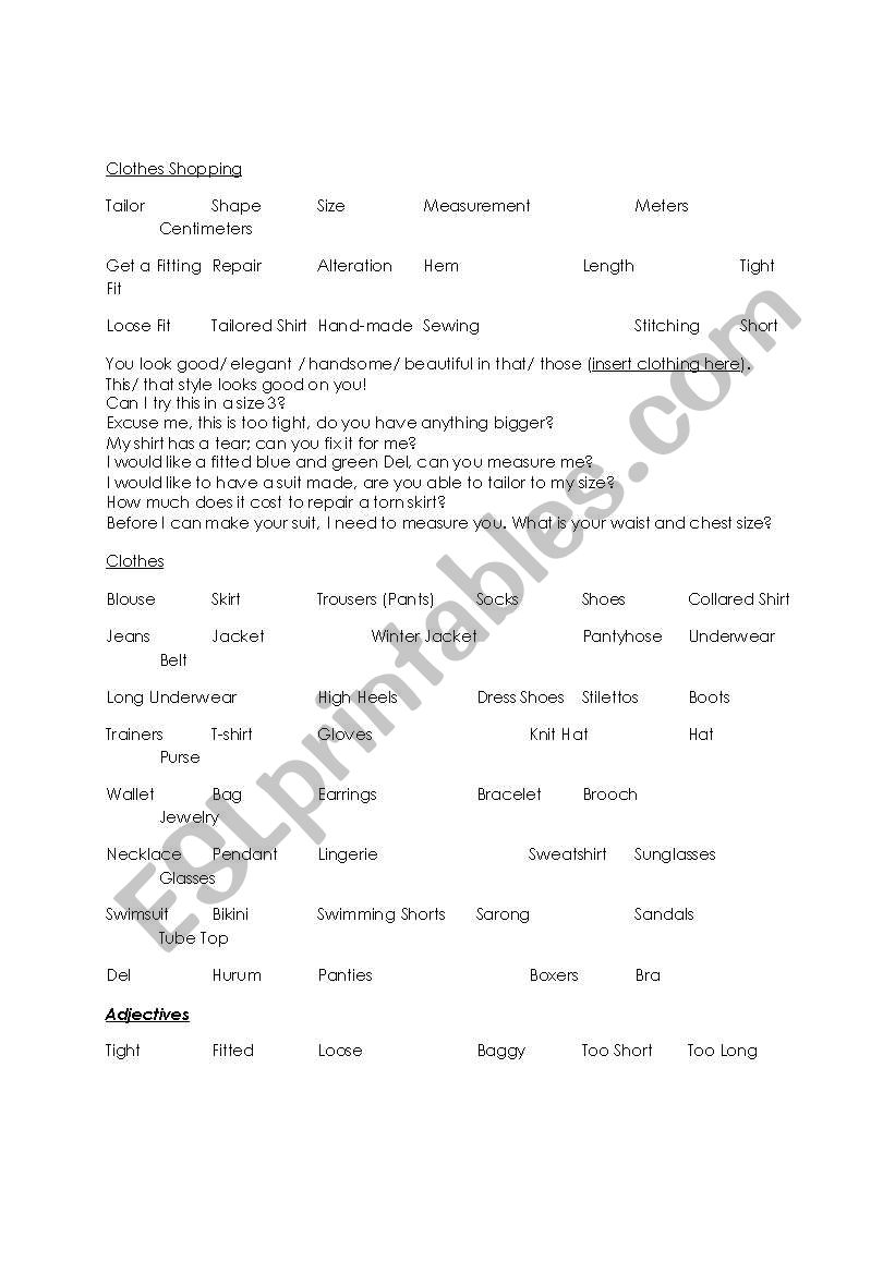 Shopping and CLothing Vocabulary, use of should, could and would