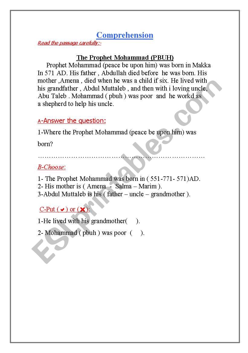 comprehension worksheet