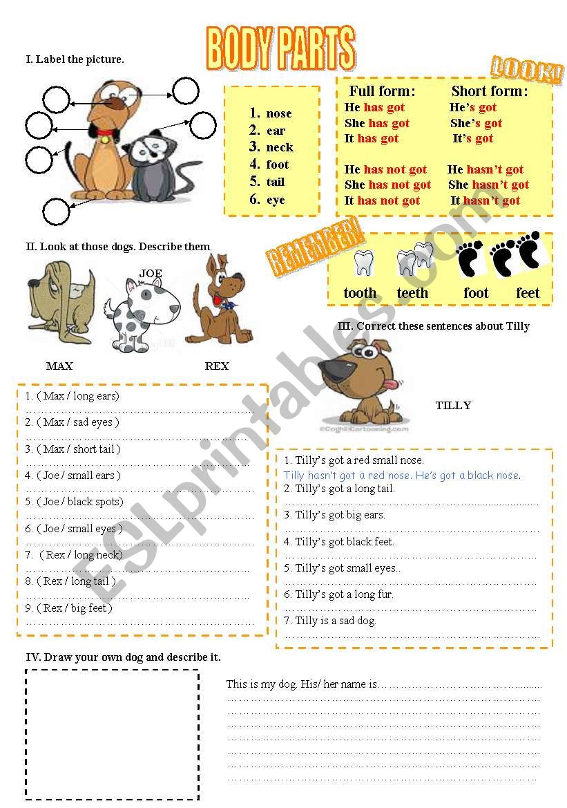 BODY PARTS worksheet