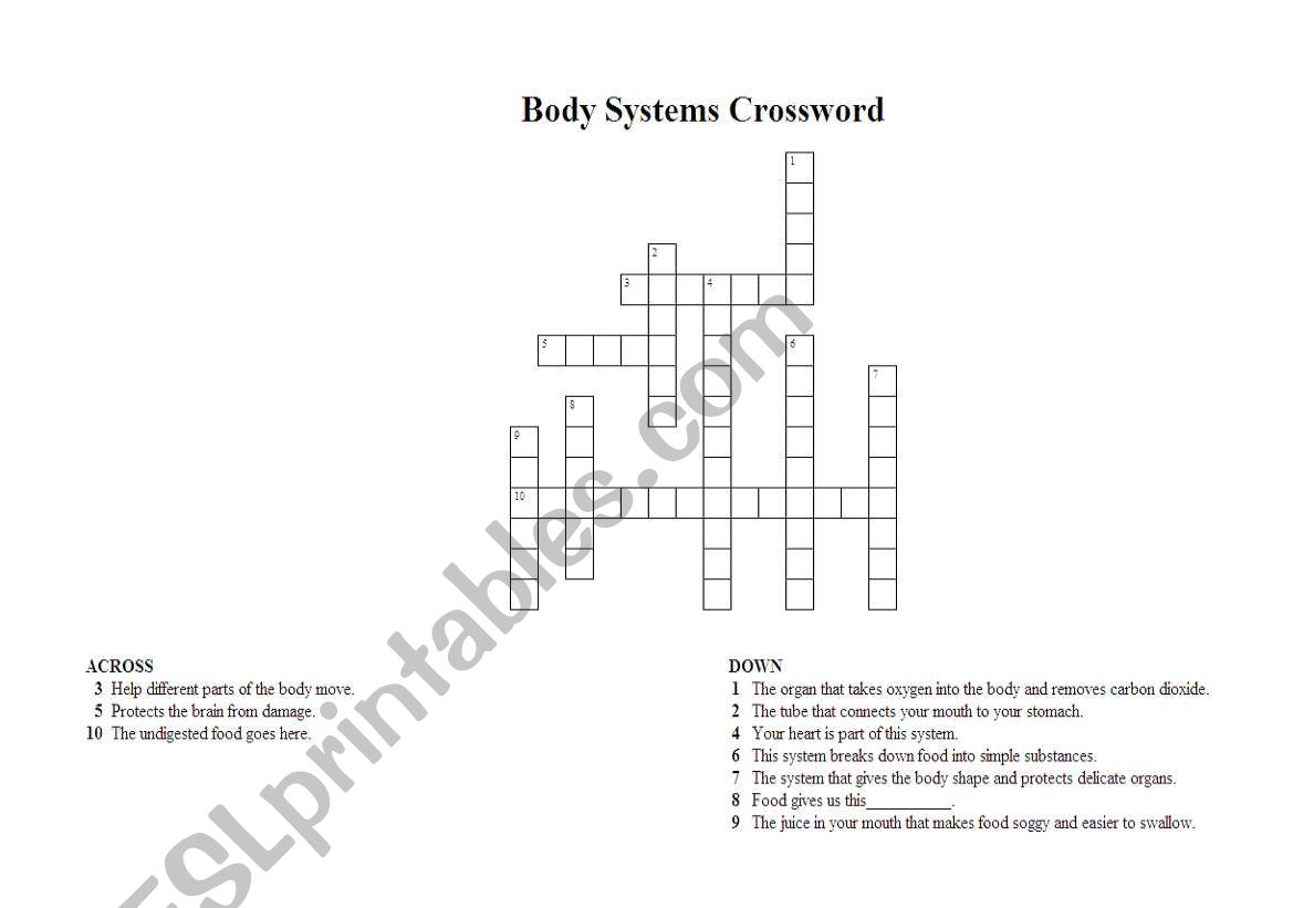 Body Systems Crossword worksheet