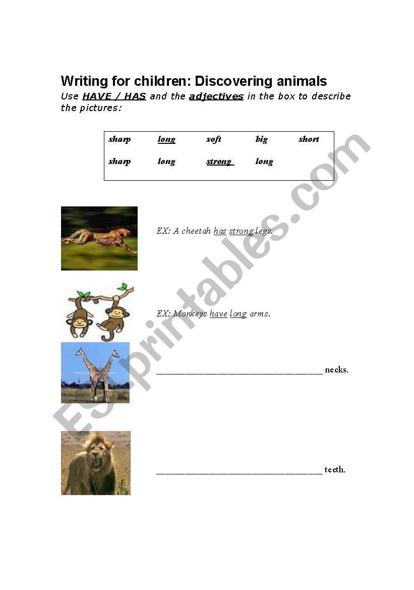 Discovering animals worksheet