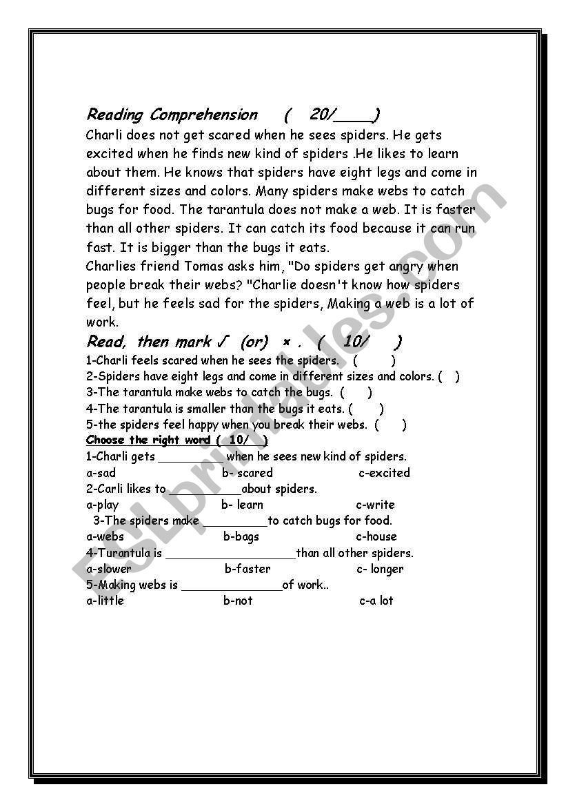 Reading Comprehension worksheet