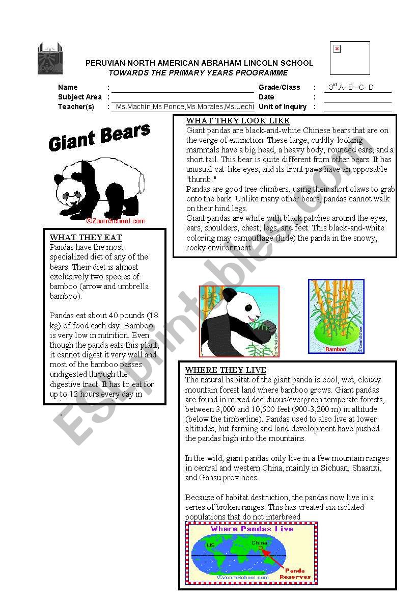 panda bear worksheet