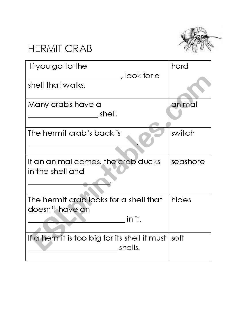 Hermit Crabs worksheet