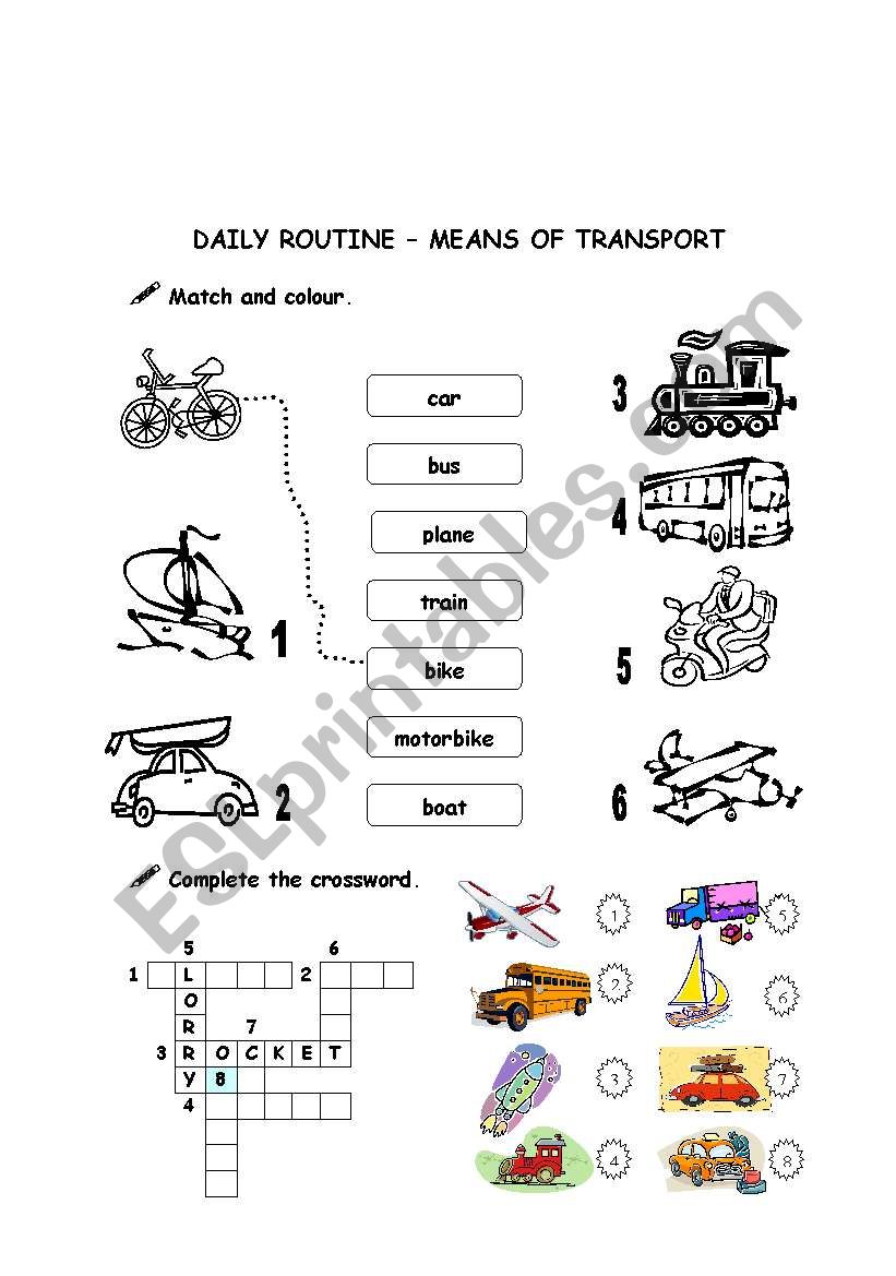 Daily routine - means of transportation