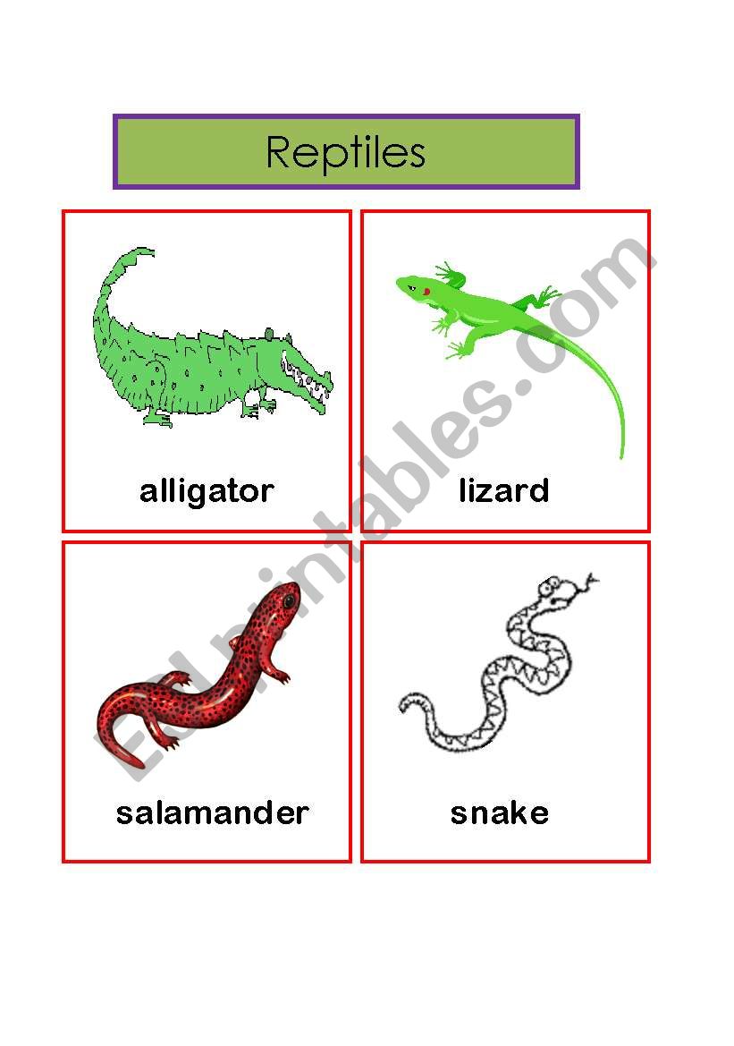 reptiles worksheet