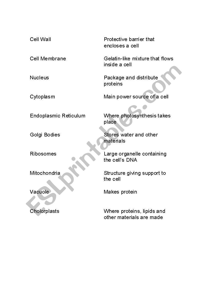 Parts of the Cell vocabulary cards