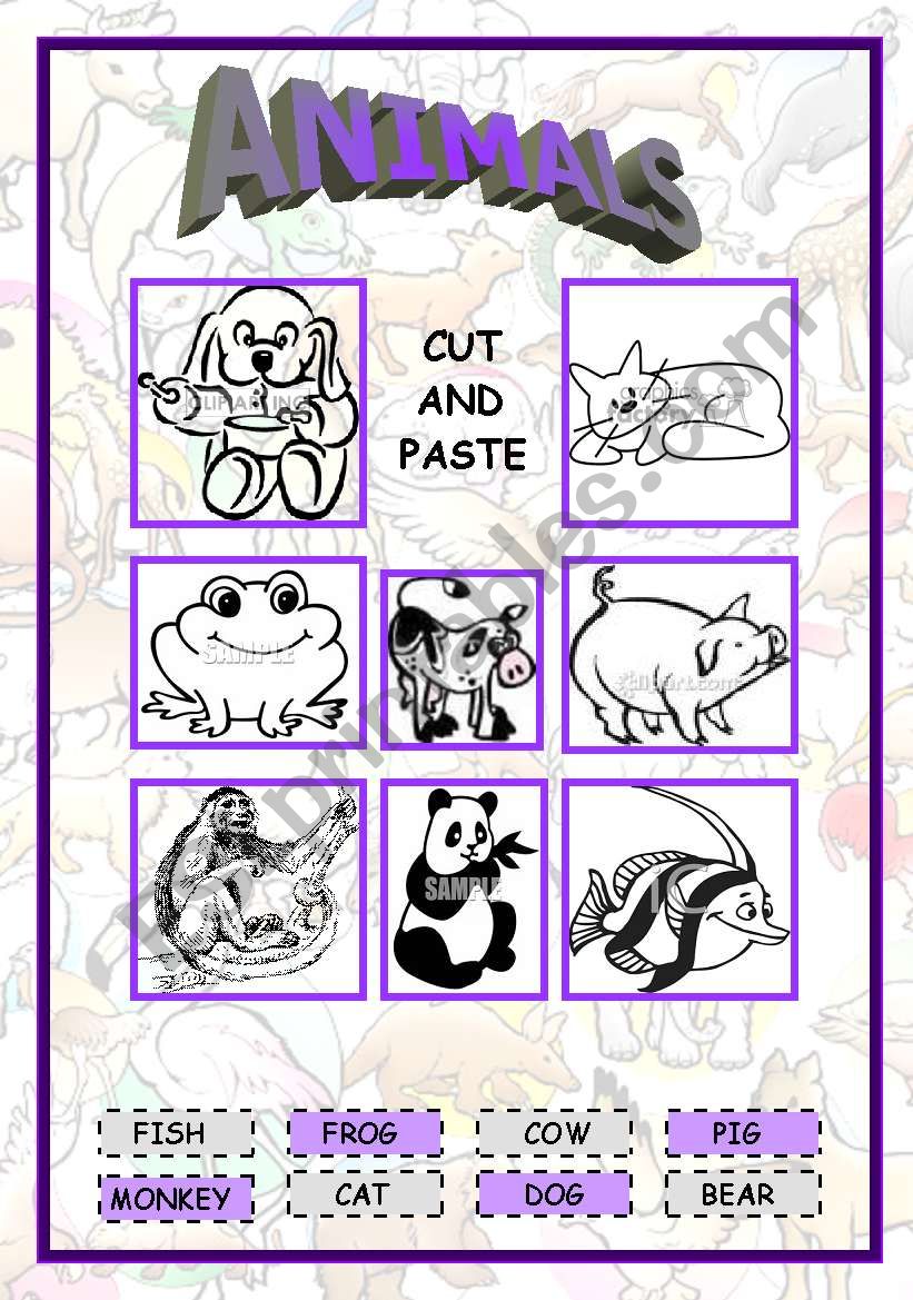 Animals worksheet worksheet