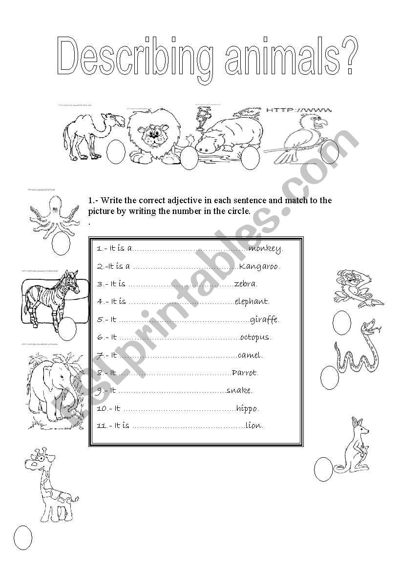 adjectives worksheet