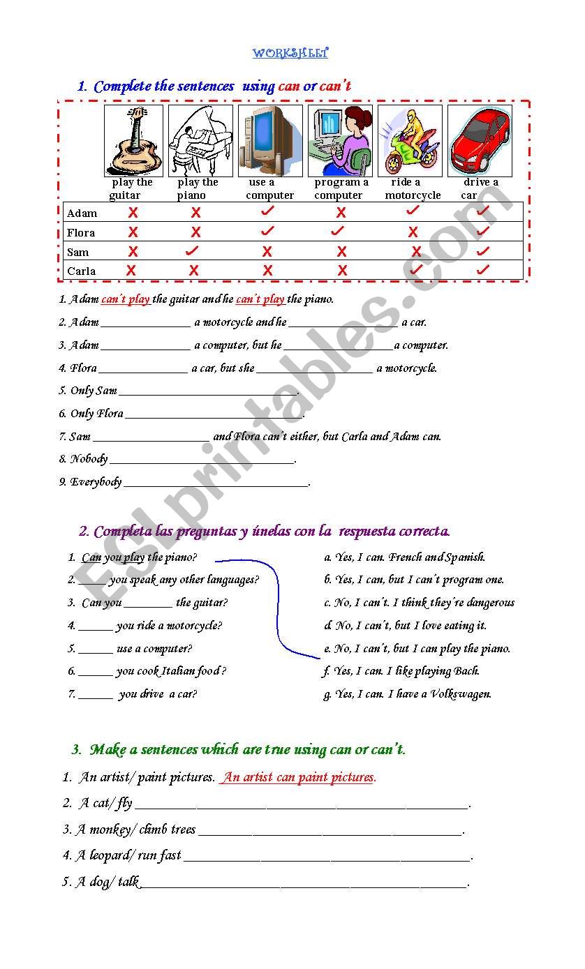 Verb Can Worksheet