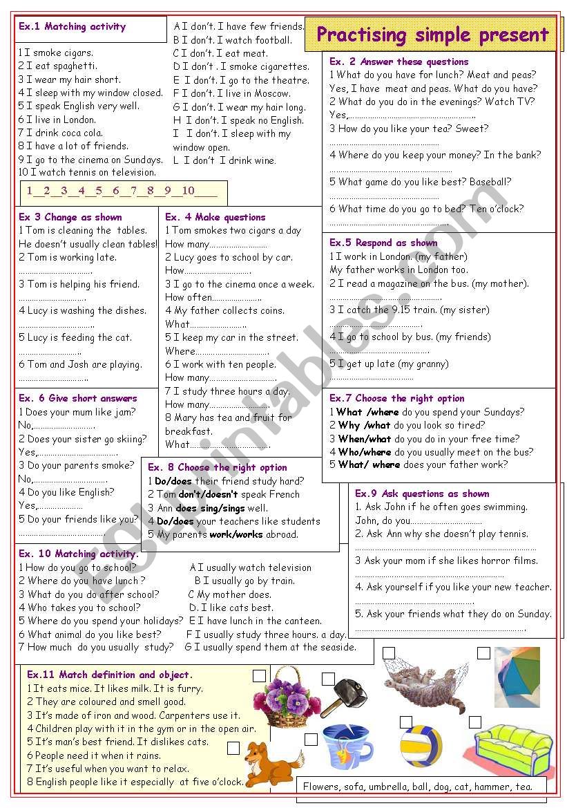 Practising present simple worksheet