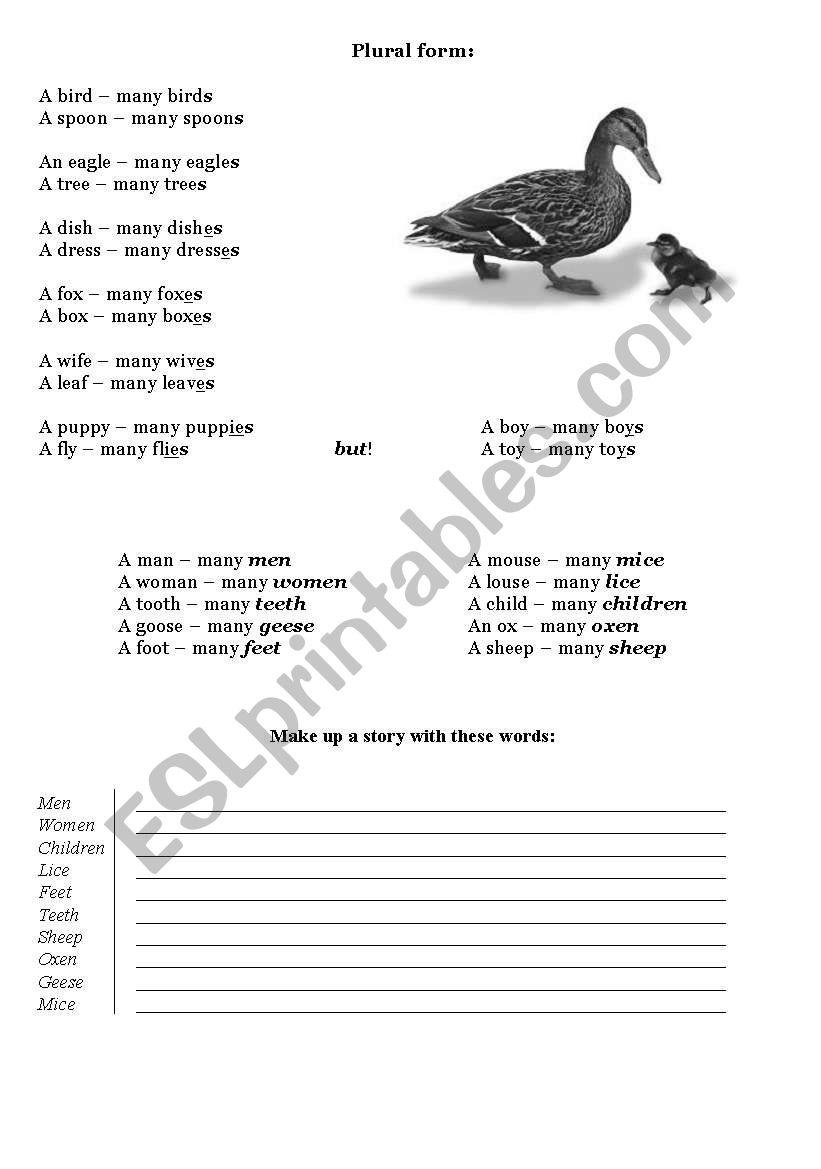 Plural Form worksheet