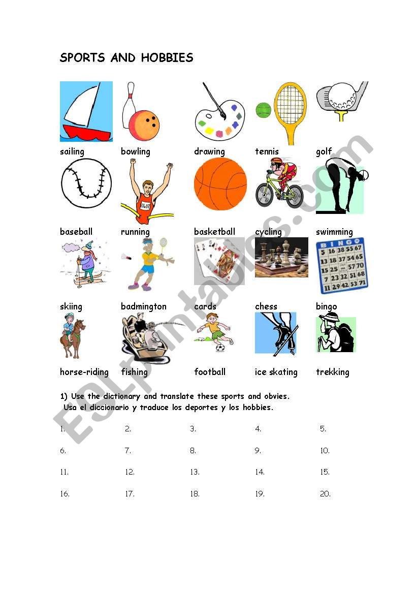 SPORTS AND HOBBIES VOCABULARY worksheet
