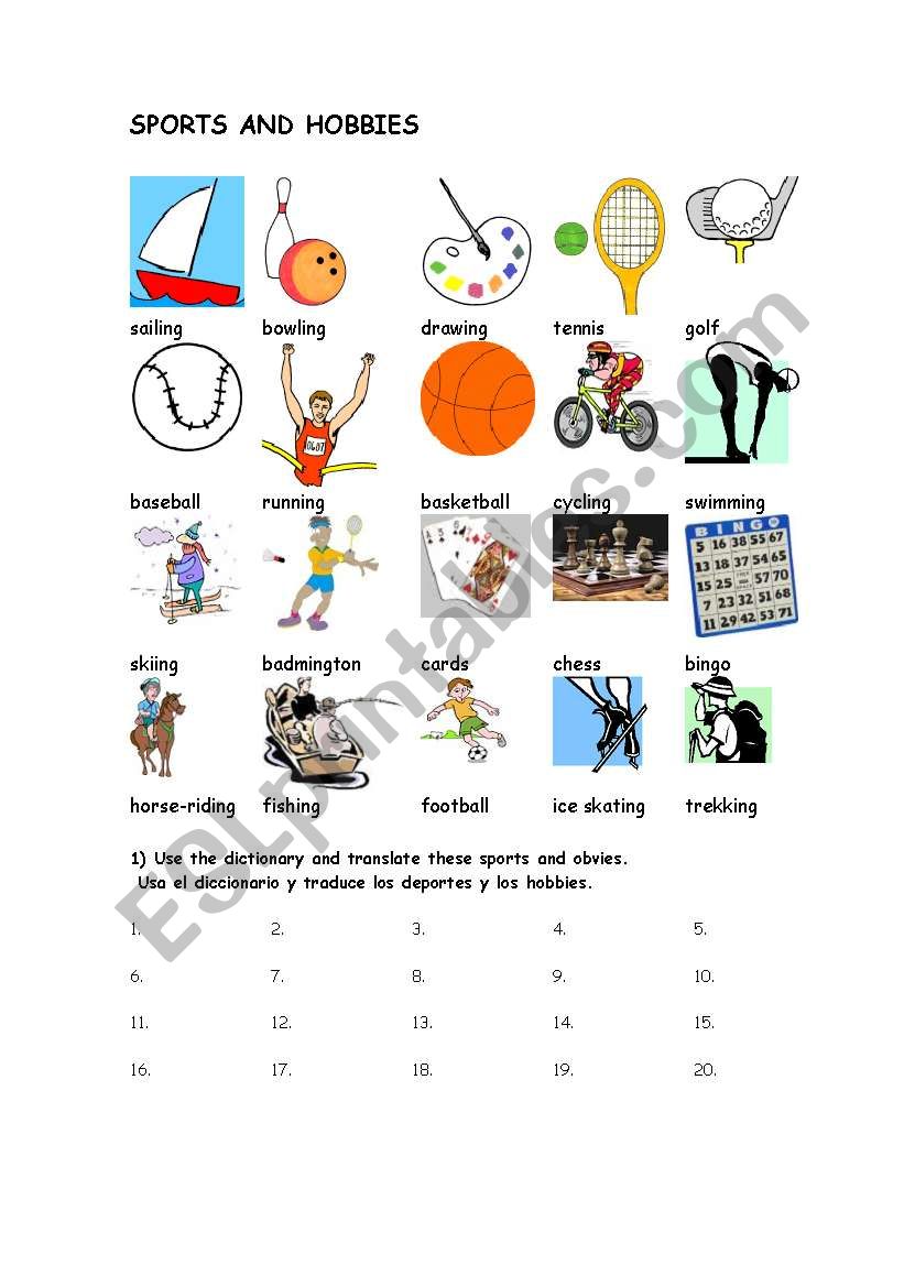 SPORTS AND HOBBIES VOCABULARY worksheet