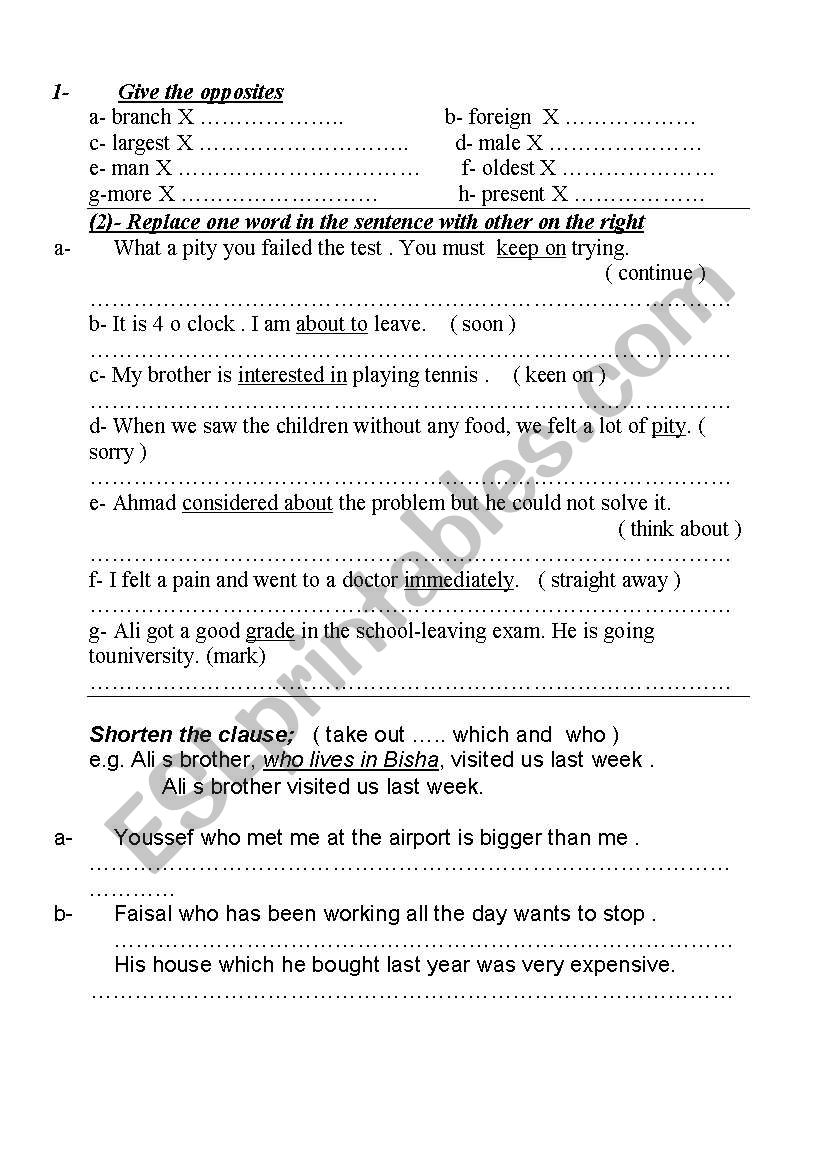 grammar test  worksheet