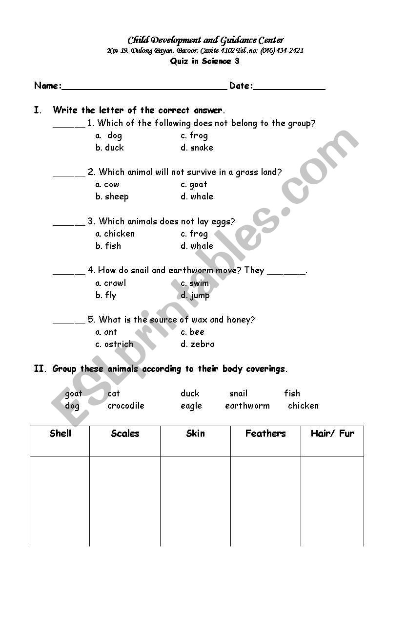 quiz worksheet