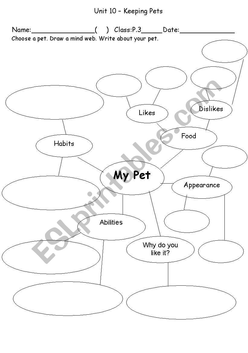 My pet worksheet