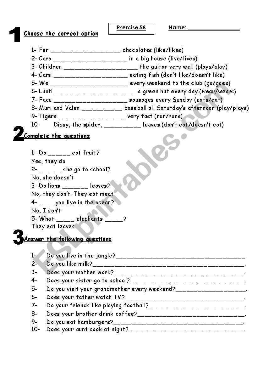 simple present exercise worksheet