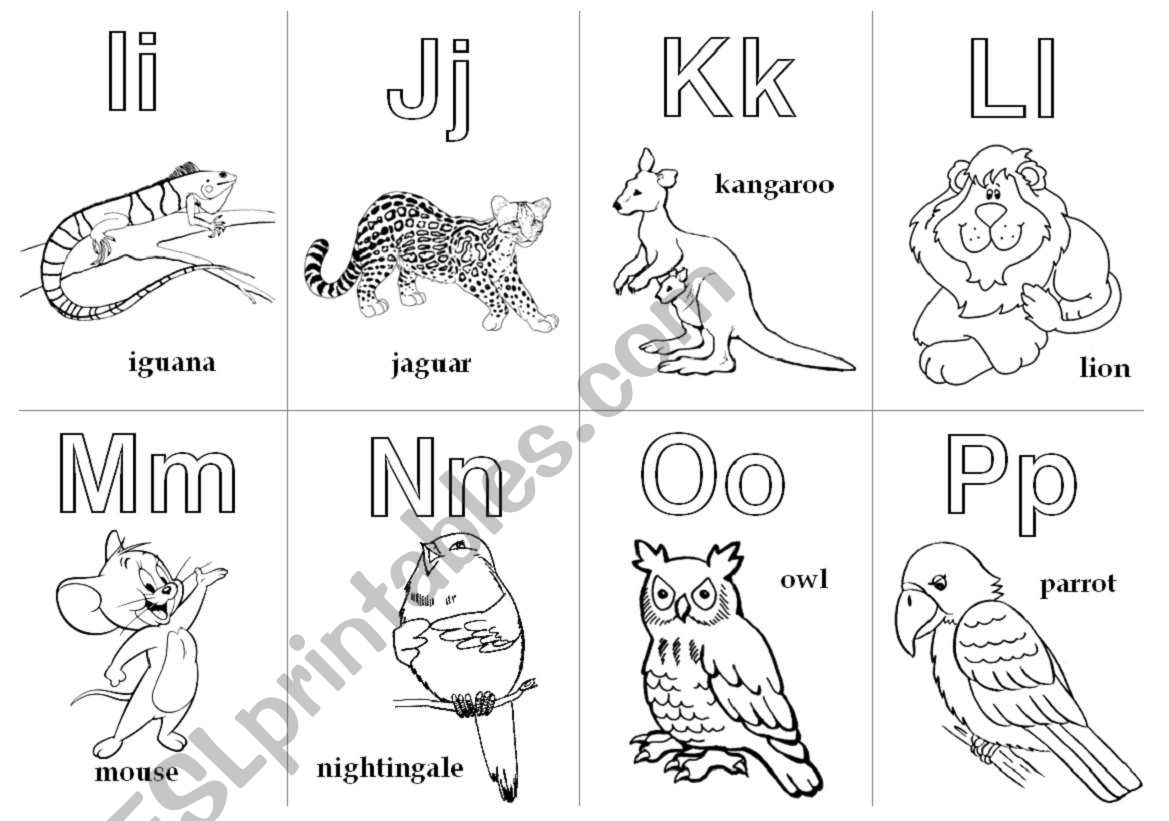 Animal Alphabet Cards  I - P worksheet