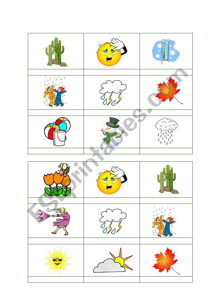 bingo-weather3 worksheet