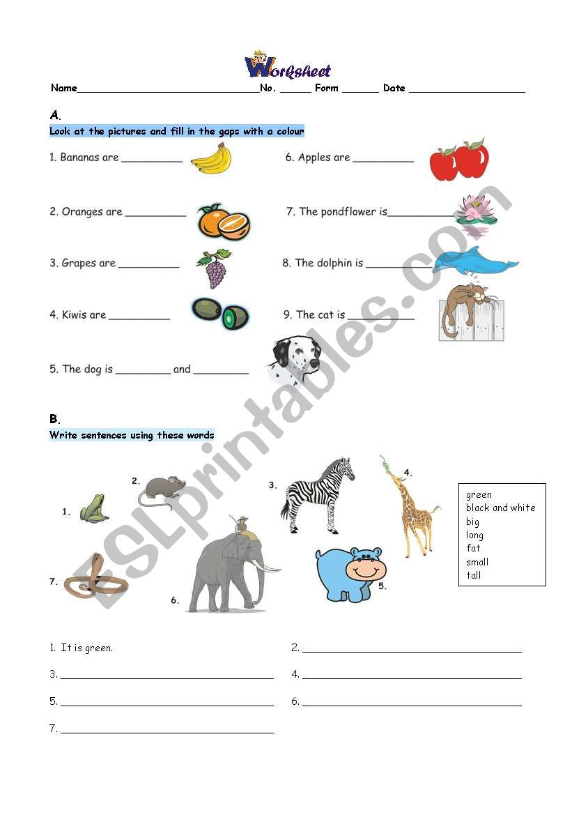 Colours worksheet