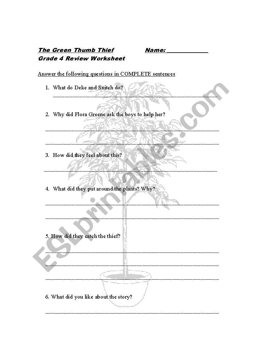 The Green Thumb Thief Reading Exercise