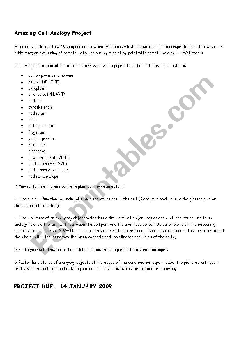 Amazing Cell Analogy worksheet