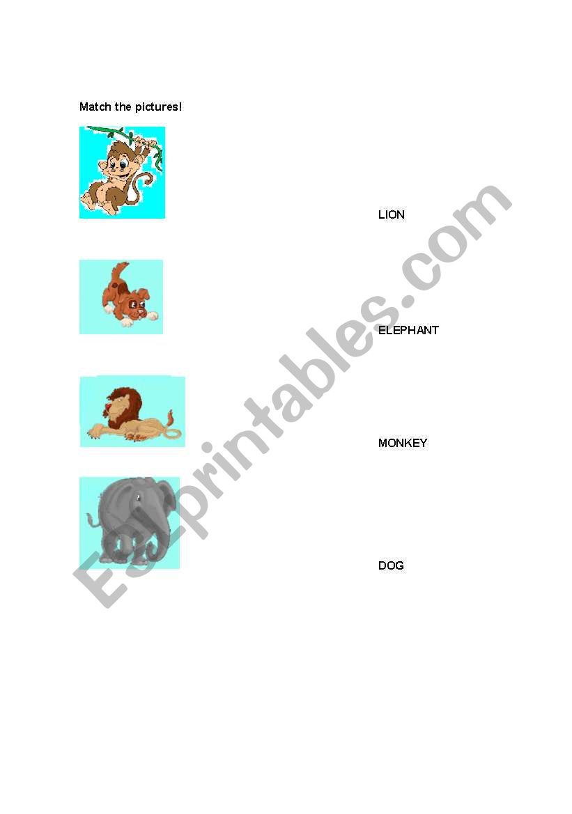 animals worksheet