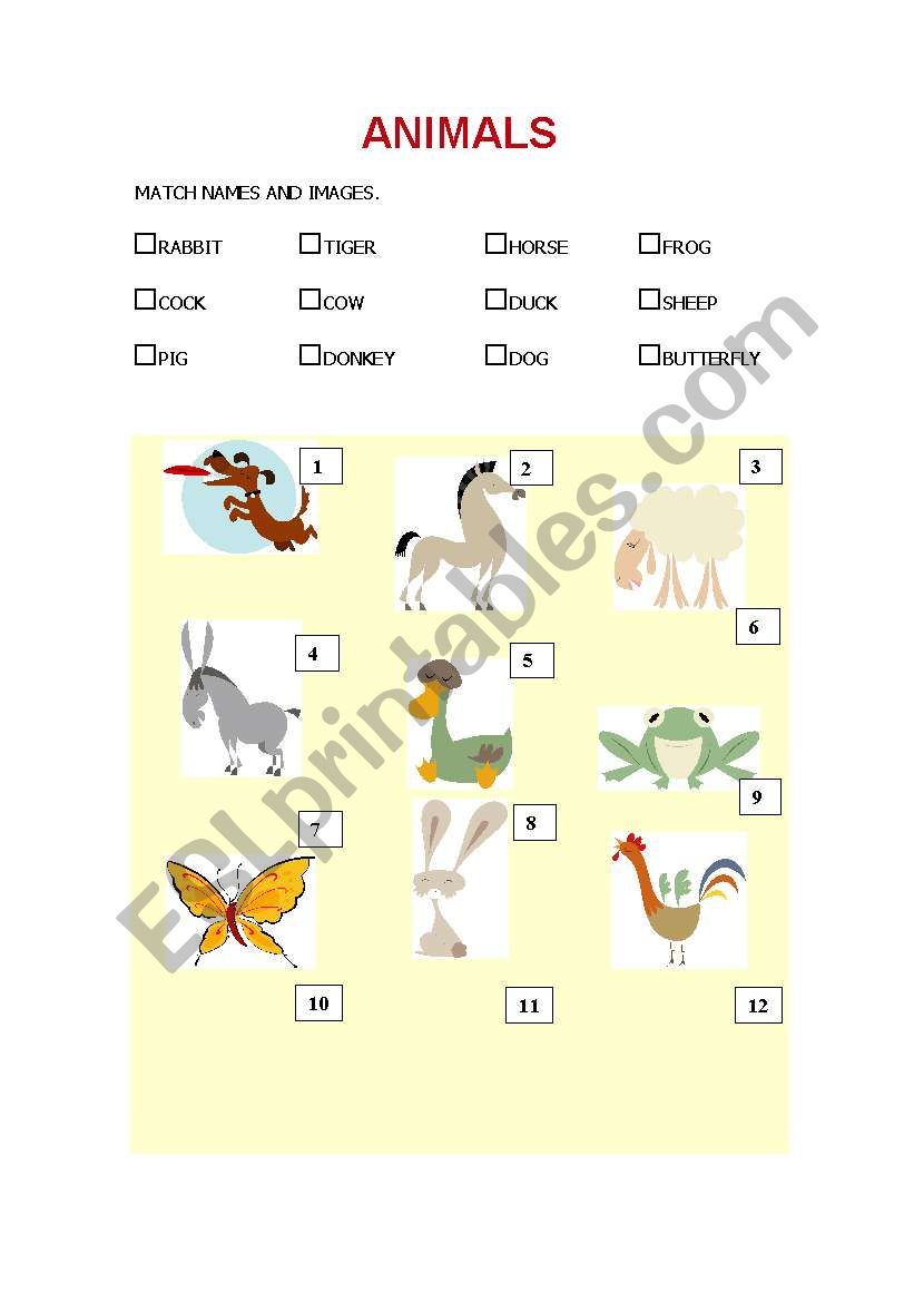 Animals worksheet