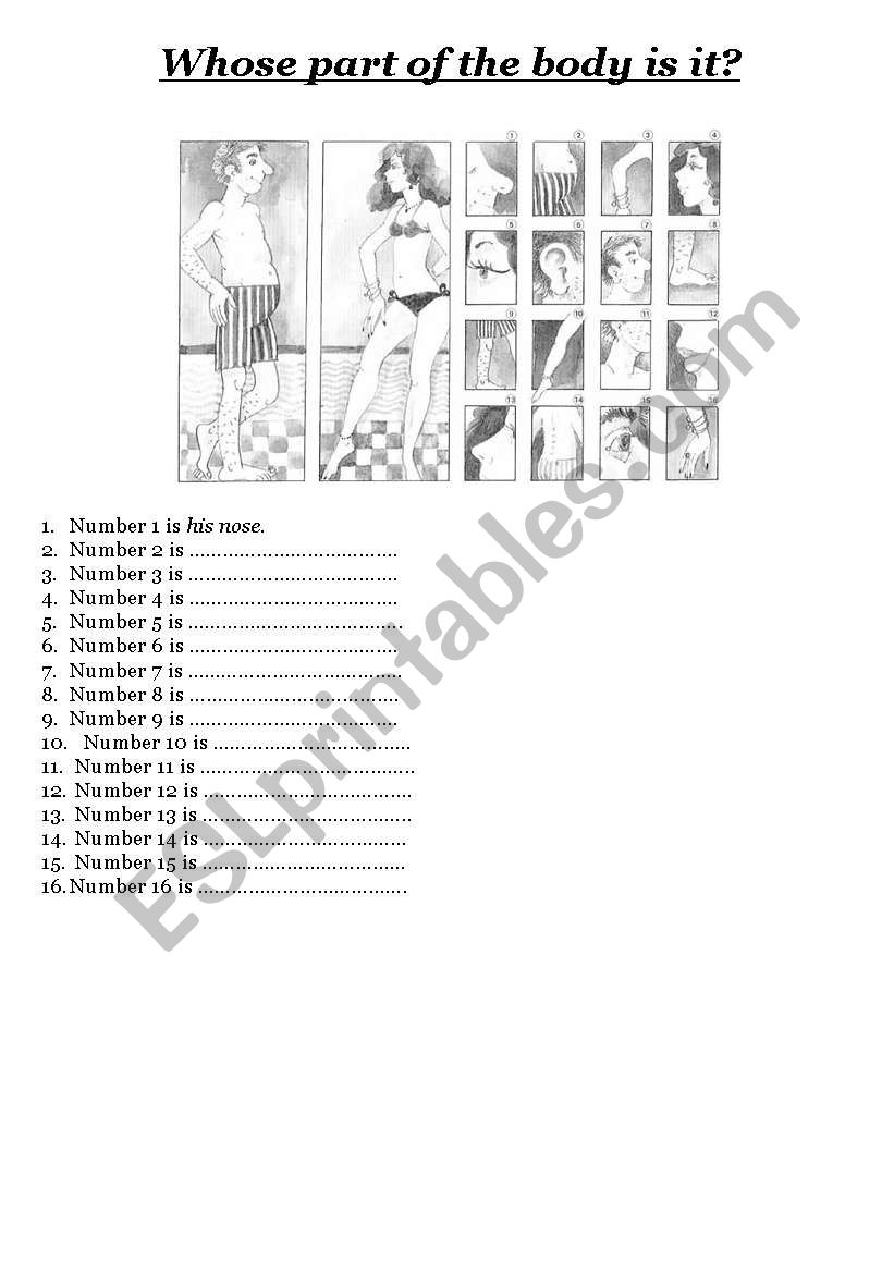 parts of the body worksheet