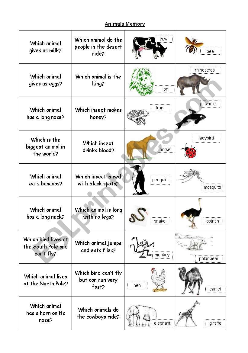 Animals Memory worksheet