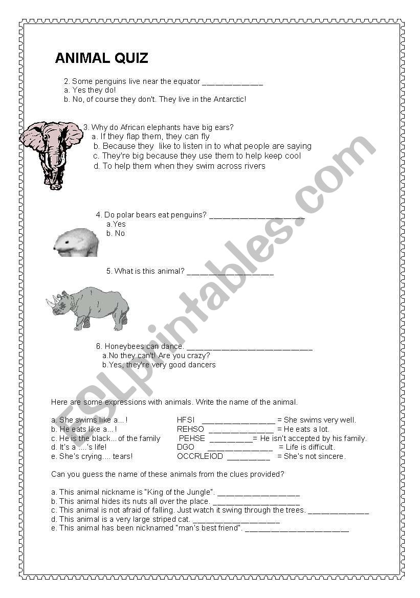 Animal Quiz worksheet