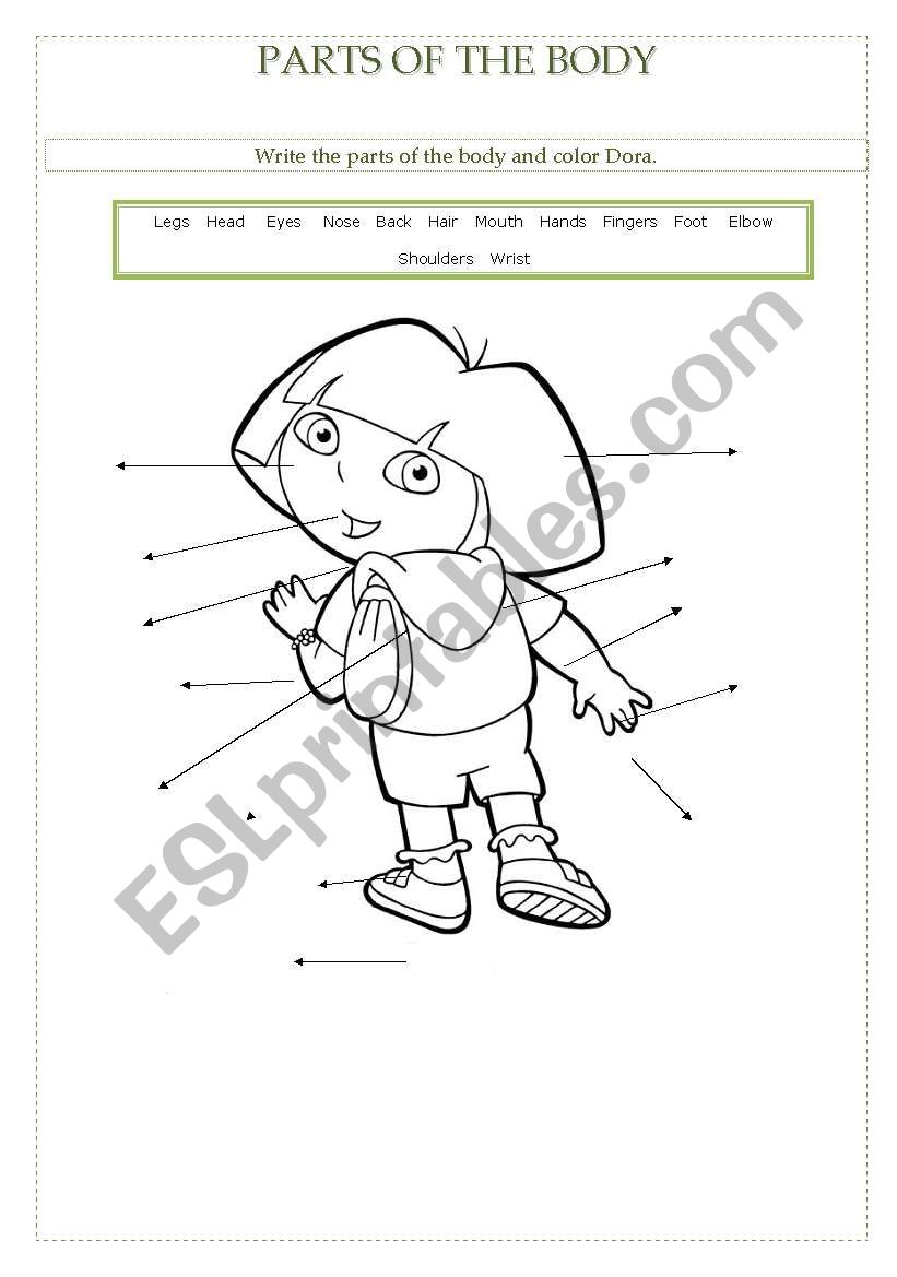 Parts of the Body with Dora worksheet
