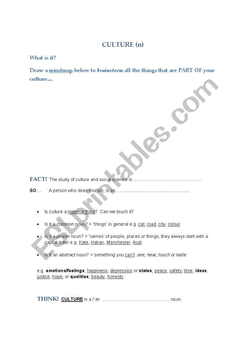 Culture worksheet
