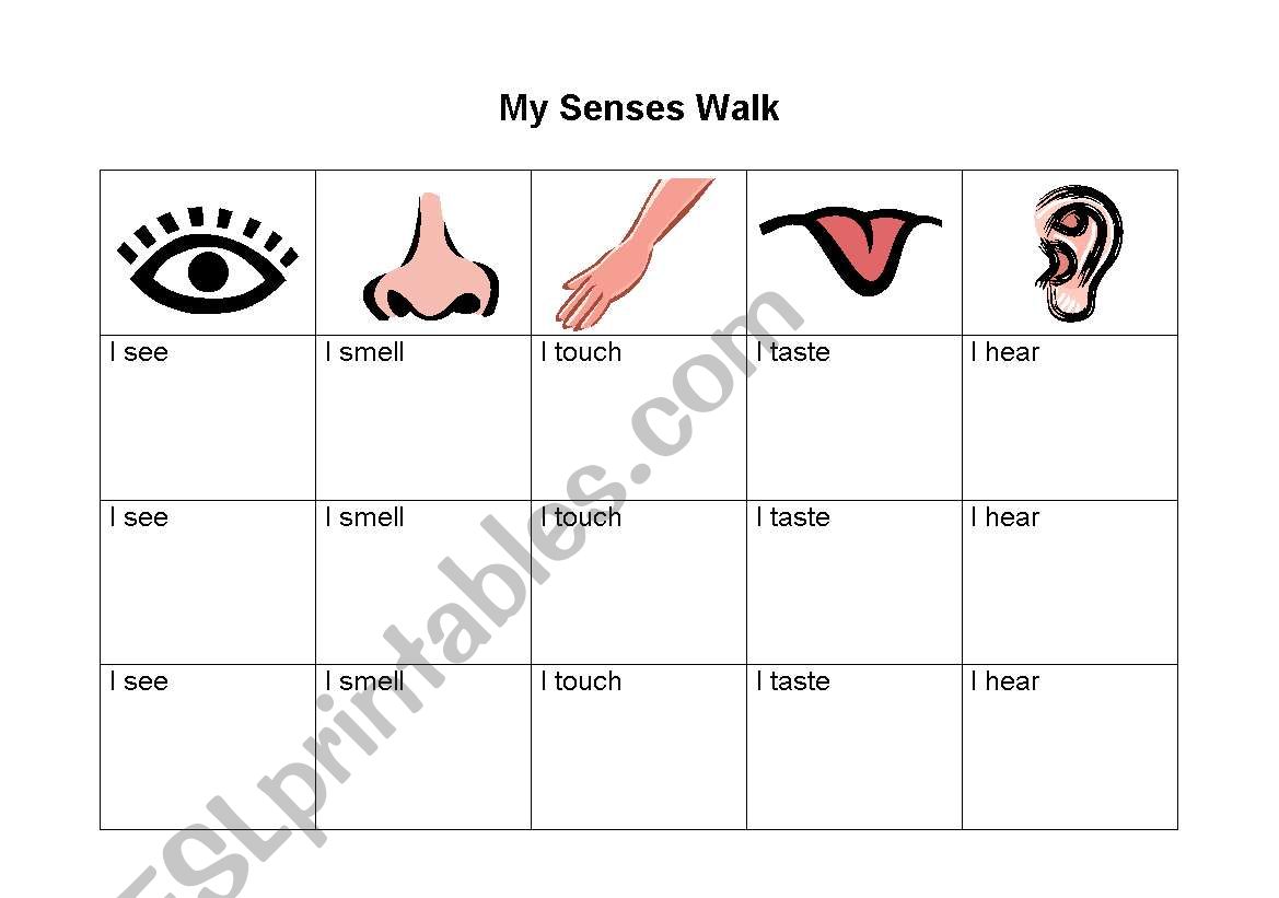 My Senses Walk worksheet
